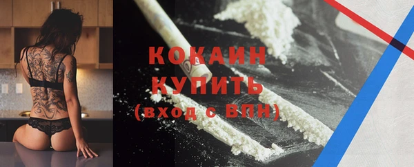индика Куйбышев