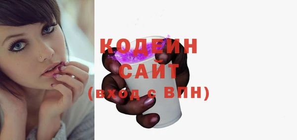 индика Куйбышев