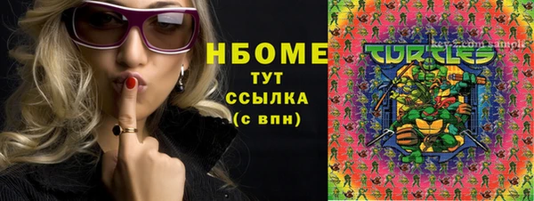 индика Куйбышев