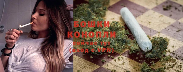 индика Куйбышев
