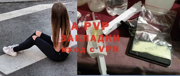 индика Куйбышев