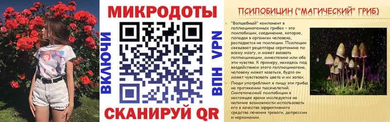 Псилоцибиновые грибы Psilocybe  Самара 