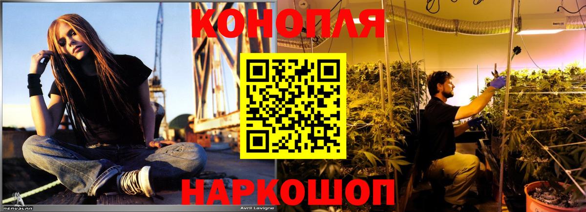 Марихуана OG Kush  Конопля Amnesia  Бошки Шишки White Widow  Самара  Конопля VHQ  Вход с VPN 